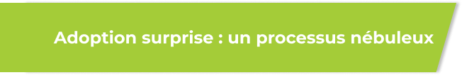 surpriseadoption-may2026-FR